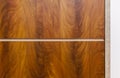 Wooden texture of nutwood Royalty Free Stock Photo