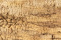 Wooden texture Royalty Free Stock Photo