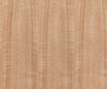 Wooden texture plywood surface for background Royalty Free Stock Photo