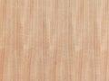 Wooden texture plywood surface for background Royalty Free Stock Photo