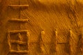 Wooden texture. rough wood macro background