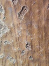 Wooden texture with scratches and cracks. Abstract background and texture for design Royalty Free Stock Photo