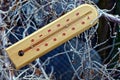 A wooden thermometer lies on the branches of plants in frost and snow Royalty Free Stock Photo