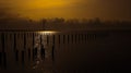 Wooden thin poles on the shore with a tower in the background at sunset