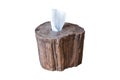 Wooden tissue box isolated