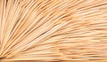 Wooden toothpicks close-up Royalty Free Stock Photo