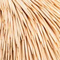 Wooden toothpicks close-up Royalty Free Stock Photo