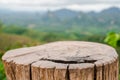 wooden with top of mountain in raining season softfocus background Royalty Free Stock Photo