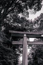 Wooden Torii gate of Meiji Jingu Shrine under big tree in Tokyo Royalty Free Stock Photo