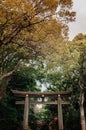 Wooden Torii gate of Meiji Jingu Shrine under big tree in Tokyo Royalty Free Stock Photo