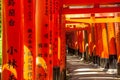 Wooden Torii Gates near Kyoto, Japan