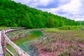 Wooden tourist path in Plitvice lakes national park Royalty Free Stock Photo