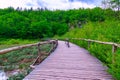 Wooden tourist path in Plitvice lakes national park Royalty Free Stock Photo