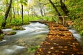 Wooden tourist path in Plitvice lakes national park Royalty Free Stock Photo