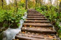 Wooden tourist path in Plitvice lakes national park