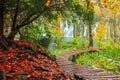 Wooden tourist path in Plitvice lakes national park Royalty Free Stock Photo