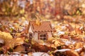 Wooden toy house in the autunm forest, Rural Housing Loans provide loans to buy, build, or improve house