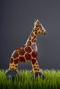 Wooden Toy Giraffe.