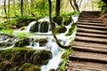 Wooden track near a forest waterfall in Plitvice Lakes National