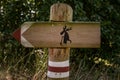 Wooden track pointer on the road in the woods Royalty Free Stock Photo