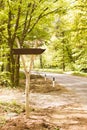 Wooden track pointer on the road in the woods sunny summer day Royalty Free Stock Photo