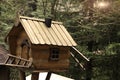 Wooden traditional bird feeder in citypark forest. Winter birdhouse ecological design concept. green nature.