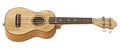Wooden traditional soprano ukulele Side view 3D
