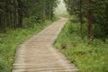 Wooden trail