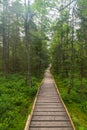 Wooden trail in bogland near Velke Mechove jezirko lake in Jeseniky mountains in Czech republic Royalty Free Stock Photo