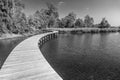 Wooden trail in Hong Kong wetland park Royalty Free Stock Photo