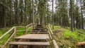 Wooden trail leading through the Boubin forest in Sumava