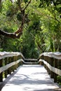 Wooden trail over samp in Everglades Nationalpark