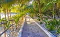 Wooden trail walk path and fence at Caribbean beach Mexico Royalty Free Stock Photo