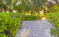 Wooden trail walk path and fence at Caribbean beach Mexico Royalty Free Stock Photo