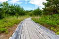 Wooden trail through wood forest with heave planks in wood