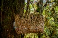 Wooden trash bin basket hangs on the tree