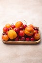 Wooden tray with fresh cherries, plums and apricots Royalty Free Stock Photo