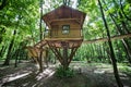 Wooden tree-house in nature park Royalty Free Stock Photo