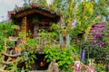 Tropical garden with colorful flower plants and tree house