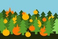 Wooden trees in forest and woods are buring - fire and flame