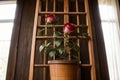 A wooden trellis supporting a blooming rose vine