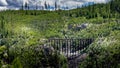 Wooden Trestle Bridge of the abandoned Kettle Valley Railway in Myra Canyon Royalty Free Stock Photo