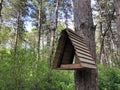 Wooden triangular brown birdhouse on high tree in green forest. Royalty Free Stock Photo