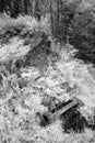 Wooden Trough under a source of fresh water out of a rock