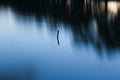 Wooden trunk in water in pond, long exposure, close up photo, Cz Royalty Free Stock Photo