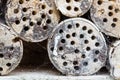 Wooden trunks with insects hotel and spiderweb