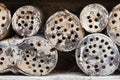 Wooden trunks with insects hotel and spiderweb