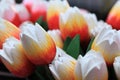 Wooden tulips