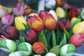 Wooden Tulips Amsterdam Royalty Free Stock Photo