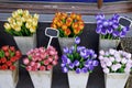 Wooden Tulips Royalty Free Stock Photo